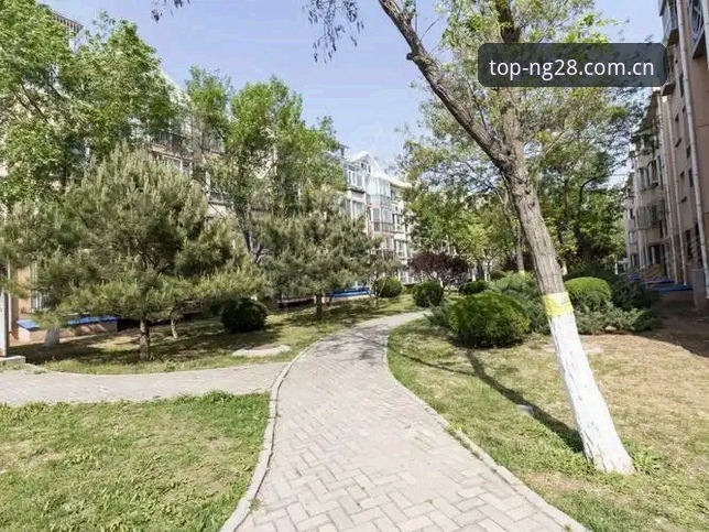 南宫28客户端安装全流程深度分析：老用户亲测经验与实用指南